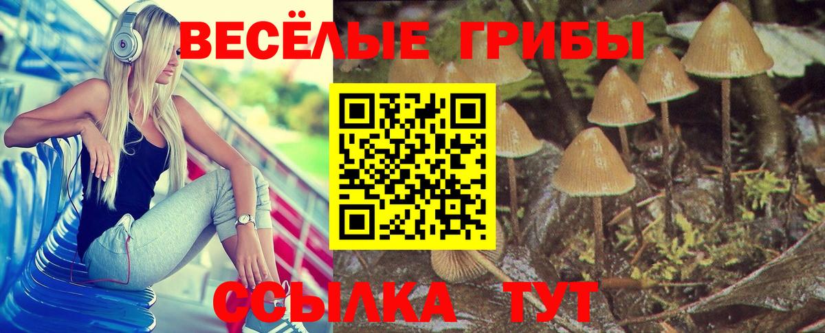 Псилоцибиновые грибы Magic Shrooms Гурьевск