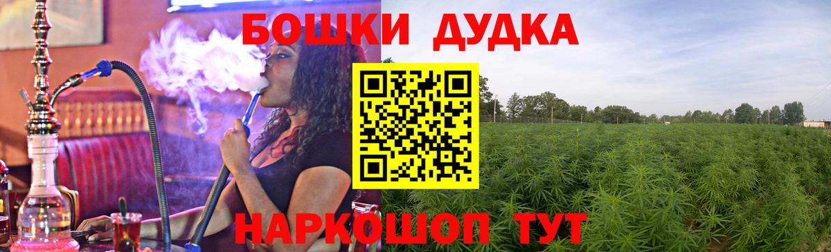 Канабис сатива Гурьевск